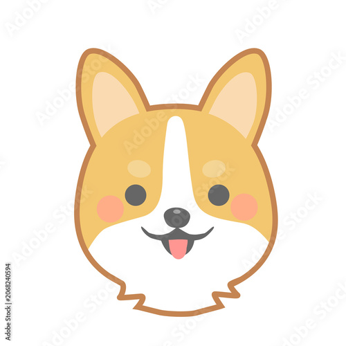 かわいいコーギー犬の顔