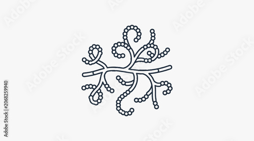 Microscopic view of a branching fungal hyphae structure with spores.