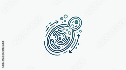 Fotografie Microscopic yeast cell undergoing budding reproduction process.