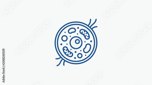 Stylized illustration of a human cell with organelles and nucleus.