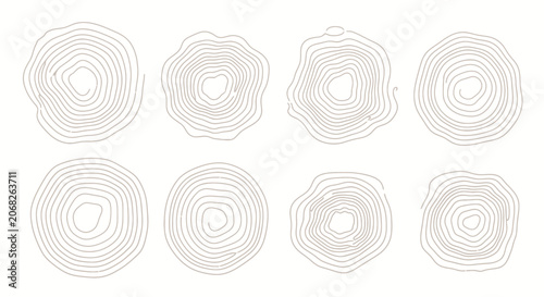 Abstract Tree Rings Set - Natural Organic Growth Patterns