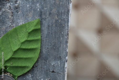 Close-up of a green artificial fabric leaf against a textured grey concrete wall