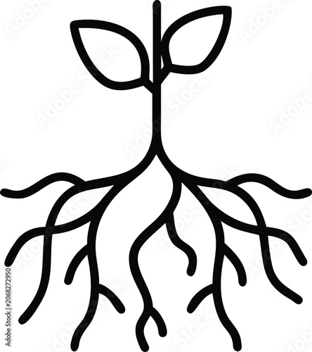 Plant sprout roots black silhouette vector for nature icon