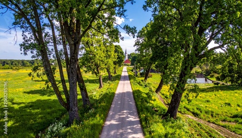 Serene Pathway Through Green Landscape Trees.