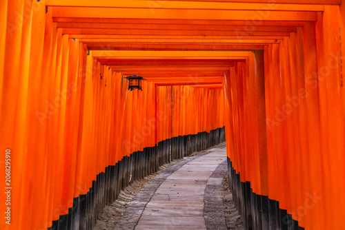 Εκτύπωση καμβά Fushimi Inari torii tunnel pathway, Kyoto, Japan