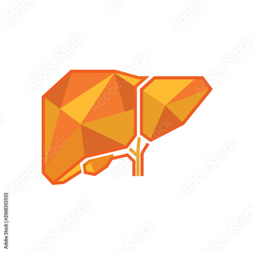 Geometric Low Poly Human Liver Organ Anatomy Illustration for Medical Healthcare Education and Diagnostic Research