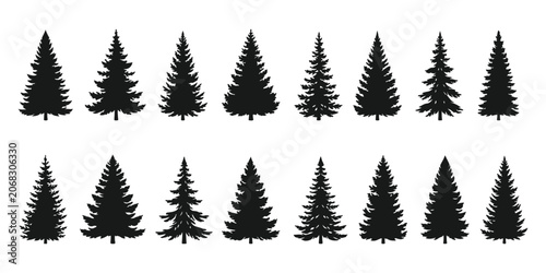 Fotografija Forest trees set