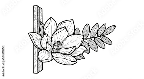Magnolia Flower Illustration with Leaves.