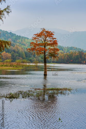 The natural beauty of mountains, lakes, swamps, and forests in the mountainous areas of Anhui Province, China was captured on November 17, 2022