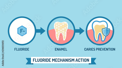 Quadro em tela Fluoride Mechanism Action Caries Prevention
