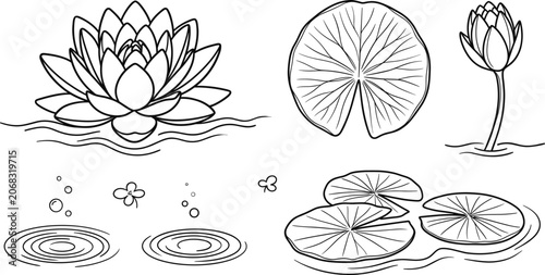 Fotografie Cute water lily coloring page vector set with lotus flowers lily pads water ripp
