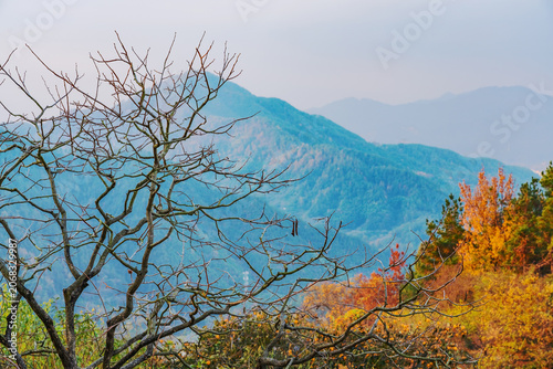 The natural beauty of Mount Huangshan Scenic Spot in autumn in Anhui Province, China was photographed on November 18, 2025