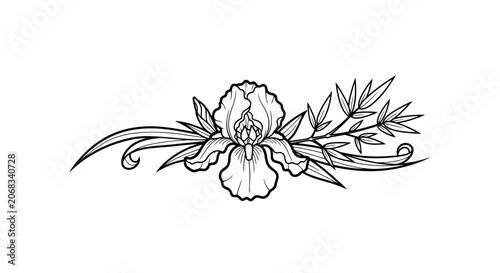 Black and White Iris Flower Illustration.