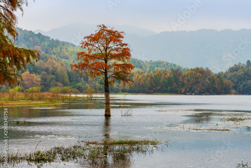 The natural beauty of mountains, lakes, swamps, and forests in the mountainous areas of Anhui Province, China was captured on November 17, 2022