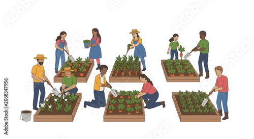 Diverse group of people gardening in communal urban farm, planting vegetables in raised wooden garden beds and harvesting carrots, flat vector illustration isolated on white.