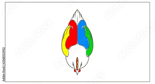 Abstract Colorful Bird Head Top View, Geometric Shapes, Vibrant Colors, Minimalist Design
