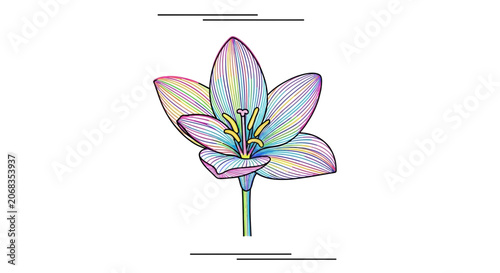 Abstract Colorful Flower Illustration with Delicate Petals and Stem
