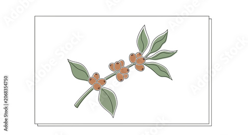 Coffee branch with leaves and berries, hand-drawn illustration, isolated on white background
