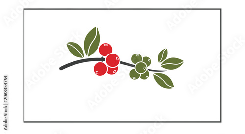 Coffee branch with red and green berries, illustration, isolated on white background