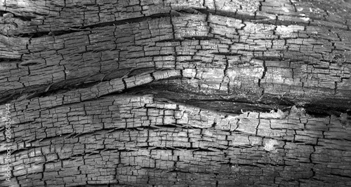 Obraz na plátně Grey black burned wood texture background, charcoal surface grunge background, b