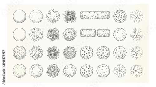 Photos Architectural tree symbols for landscape design, hand drawn top view plant icons