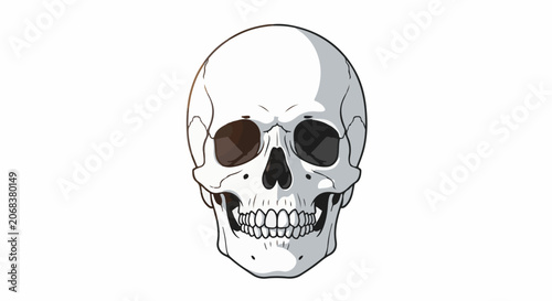 A human skull with brown and black eye sockets