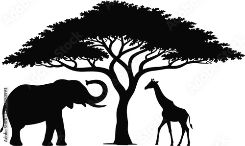 Photography African safari silhouette with elephant giraffe and acacia tree, wildlife nature