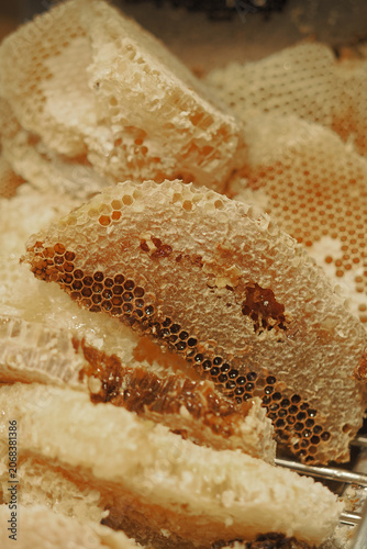 Quadro em tela Honeycomb pieces ready for extraction and tasting