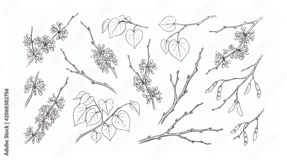 Fototapeta premium Vintage botanical line art collection, hand drawn tree branches with leaves and flowers, black ink floral sketches for wedding invitations and branding