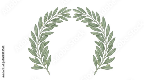 Olive Branch Laurel Wreath Transparent Background