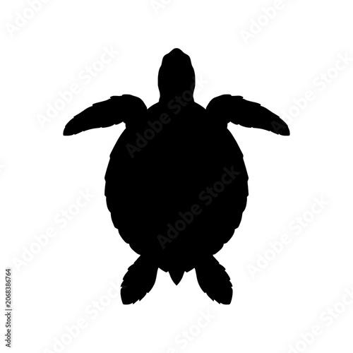 Turtle Silhouette Transparent Background
