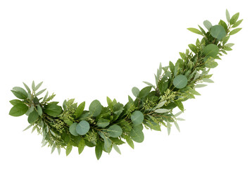 Green Eucalyptus and Mixed Foliage Garland Isolated on White Background.