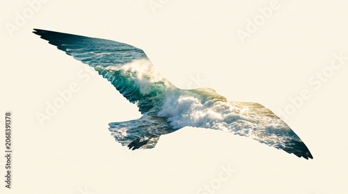 Double Exposure Silhouette of Flying Bird with Dramatic Ocean Waves Inside