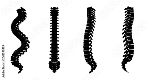 Foto Human spine vertebrae column anatomy icon set.