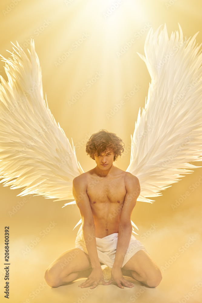 Obraz premium Golden Angel Strength