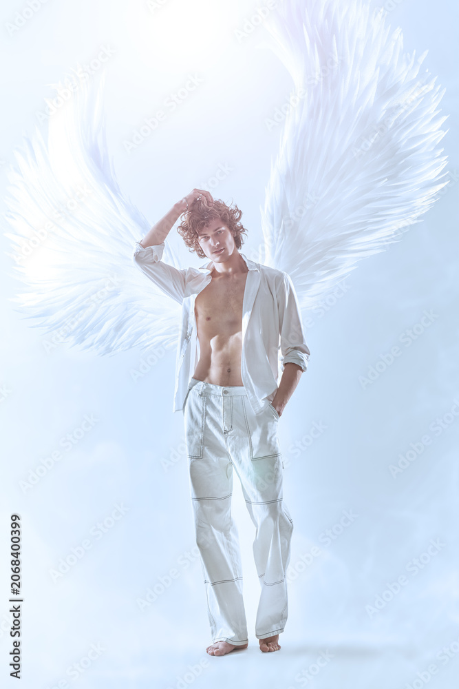 Obraz premium Heavenly Winged Beauty