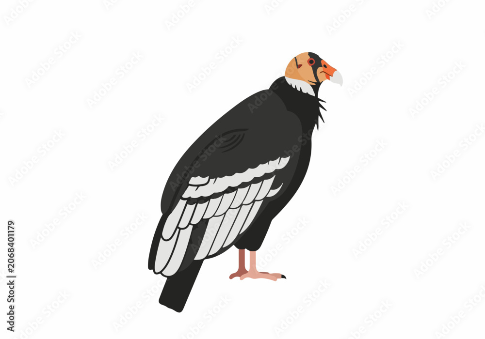 Fototapeta premium Illustration of a stylized bird with black and white feathers