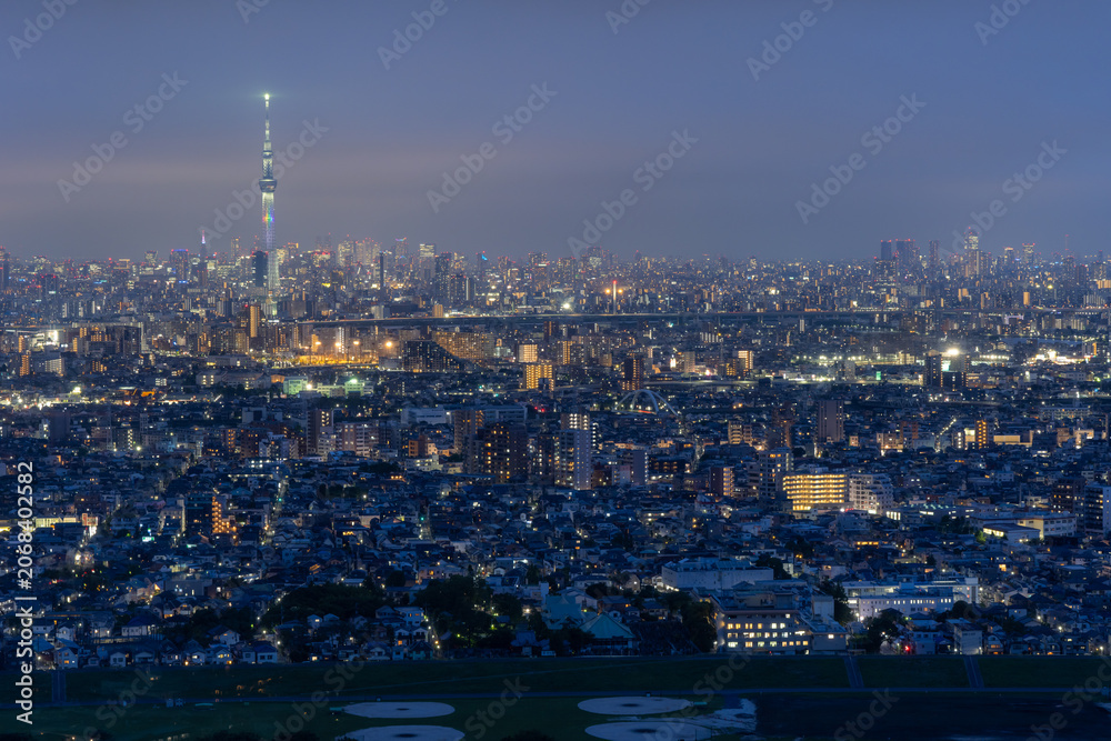 Fototapeta premium 東京スカイツリーと東京夜景のパノラマ 