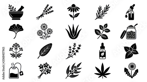 Konstfotografi Herbal medicine and natural remedy botanical black icon set.