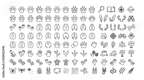 Bild auf Leinwand 動物の足跡と自然の要素を網羅した線画アイコンセット、野生動物の追跡、アウトドアアドベンチャー、環境保護プロジェクトに最適なベクター素材
