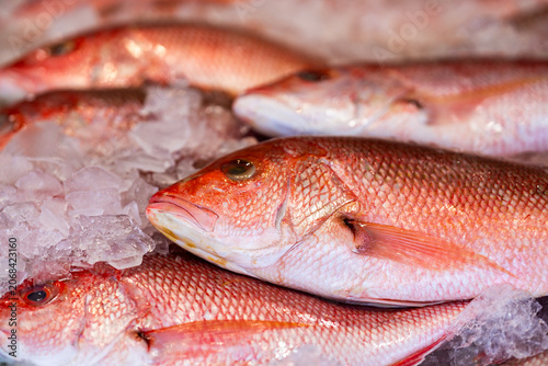 Fotografie Fresh fish on ice