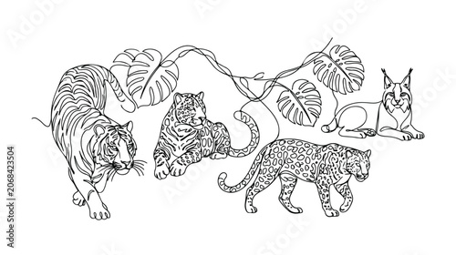 Photography Majestic big cat vector illustrations, a collection of wild feline animals inclu