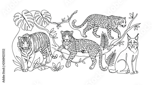 Photography Jungle cats vector illustration, wild animal line art, exotic feline wildlife, n