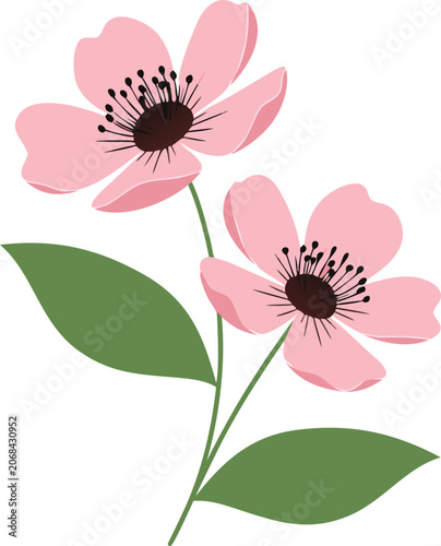 Pink Wildflower Botanical Illustration with Blooming Garden Flowers and Green Leaves Nature Design Element