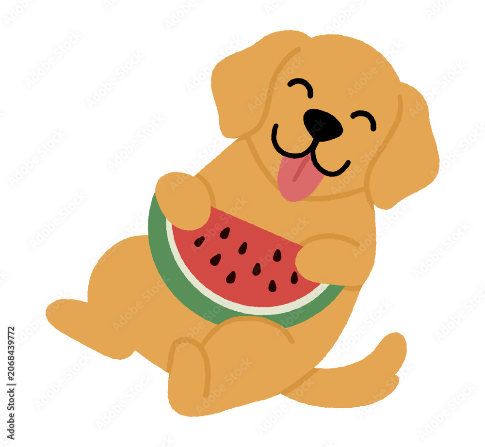Obraz premium cute puppy with watermelon