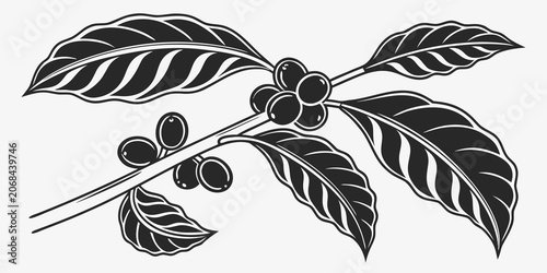 Fotografie Stylized coffee plant branch with leaves and ripe berries illustration botanical