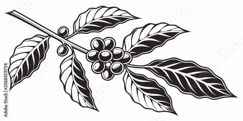 Konstfotografi Black and white illustration of coffee branch with ripe coffee cherries illustra