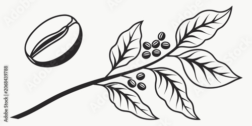 Quadro su tela Coffee branch with berries and a single roasted coffee bean icon illustration bo