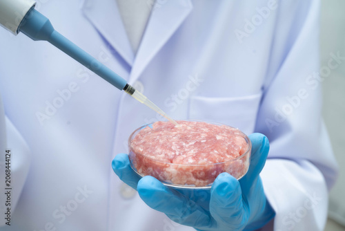Scientist holding Petri dish with meat in science laboratory for food product development.