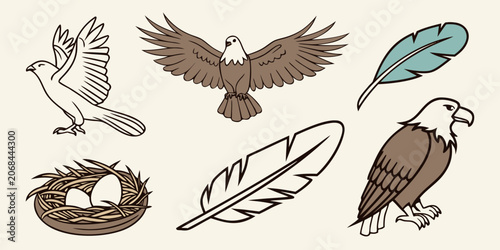 Fotografía Bald eagle wildlife vector icon set with bird of prey eagle eyes wildlife predat